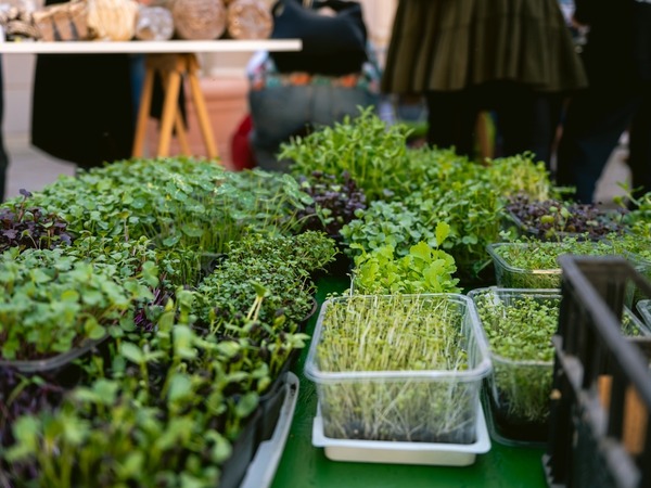 Foto-priča drugog dana 19. Monte Librića