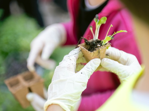 Foto-priča drugog dana 19. Monte Librića