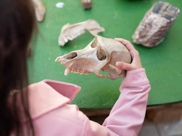 Foto-priča četvrtog dana 19. Monte Librića