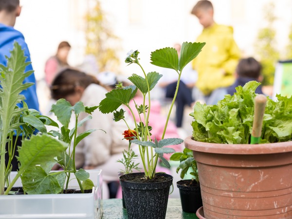 Foto-priča trećeg dana 19. Monte Librića