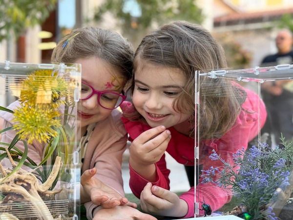 Foto-priča šestog dana 19. Monte Librića